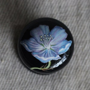 May include: A small, round, black box with a painted blue flower on the top. The flower has a white centre and a light blue outline.