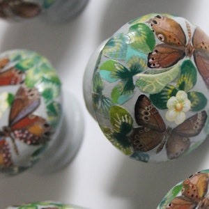 K&ouml;nnte beinhalten: F&uuml;nf Keramik-Schubladengriffe mit einer hellgrauen Basis und einem bemalten Design aus Schmetterlingen, Blumen und gr&uuml;nen Bl&auml;ttern.