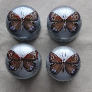 knob, silver, butterfly, dresser knobs and pulls, brown butterfly, brown and silver decor, knobs for shabby chic interiors, silver furniture