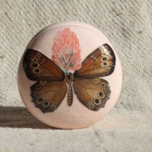 Peut inclure: Une boîte à bijoux ronde de couleur rose avec un papillon brun et un motif de fleur rose.