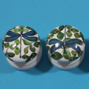 Puede incluir: Cuatro pomos de cajón de cerámica blanca con un diseño de libélula y trébol de tres hojas verde.