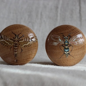 Może przedstawiać: Dwa okrągłe drewniane gałki do szafek z ilustracjami owadów. Jedna gałka przedstawia wzór ćmy w odcieniach brązu i kremu. Druga gałka ma wzór pszczoły z niebieskimi i białymi akcentami. Obie gałki znajdują się na białym tle z tkaniny.