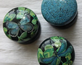 knob, furniture, drawer knobs, green knobs, blue knobs, butterfly knobs, dragonfly knob, dark green knob, painted furniture, painted knobs.