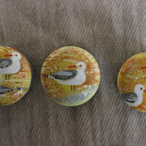 bouton de commode, tiroir tirer, peinte poignée pour meuble, mouette, plage, conception de bord de mer, mobilier de cabane de plage, boutons bleus pâles, boutons d’oiseaux de mer