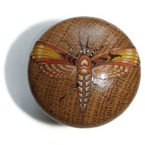 May include: A round wooden knob with a painted image of a moth with orange and yellow wings. The moth is on a brown background.