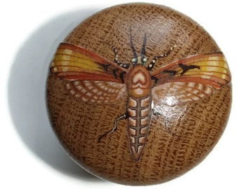 Large Moth Knob, Oak Wood Knob, Insect Design, Brown Moth, Wood Grain Design, Up Cycle Wood Furniture, Wood Chests, Cabinet Knobs, Cabinets.