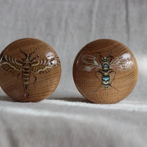May include: Two round wooden cabinet knobs with insect illustrations. One knob features a moth design in brown and white, while the other has a blue and white insect. The knobs are set against a neutral background.