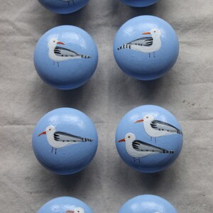 May include: Eight blue round knobs with painted seagull designs. Each knob features a white seagull with black markings and orange beak on a light blue background.