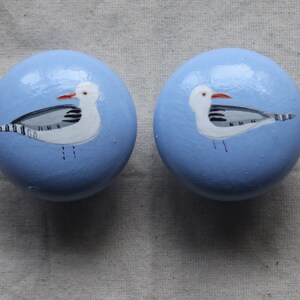 May include: Two light blue round knobs with a white seagull painted on each. The seagulls have black and grey markings and red beaks.