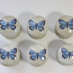Peut inclure: Six boutons ronds en céramique avec un fond blanc moucheté et un motif de papillon bleu.