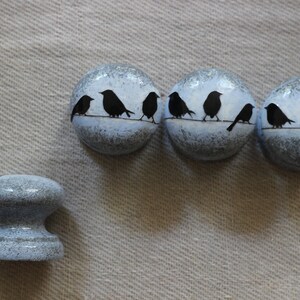 K&ouml;nnte beinhalten: F&uuml;nf runde, blaue und graue Kn&ouml;pfe mit schwarzen Silhouetten von V&ouml;geln auf einem Draht. Ein Knopf ist ein gr&ouml;&szlig;erer, runder, blauer und grauer Knopf.