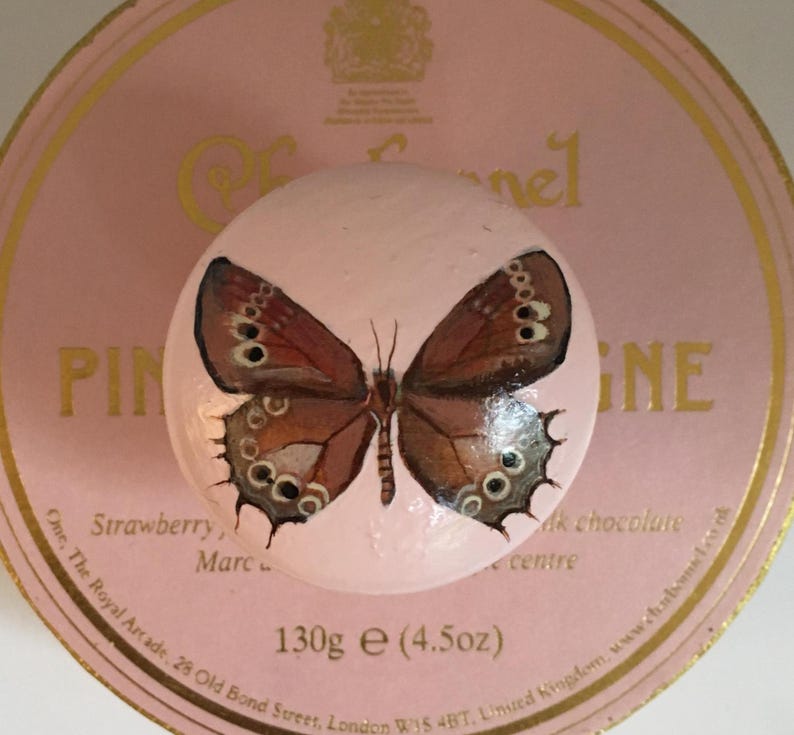 Peut inclure: Une pierre ovale rose peinte avec un motif de papillon brun et beige. La pierre est pos&eacute;e sur une surface rose avec des lettres dor&eacute;es et du texte, dont "Pine" et "130g e".