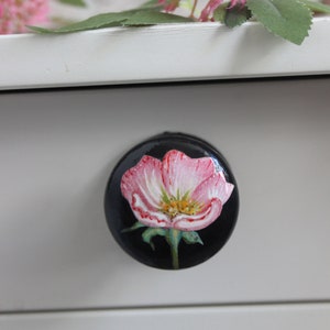 Peut inclure: Un bouton de tiroir rond noir avec une fleur rose peinte sur un fond blanc.