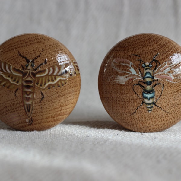 home decor, unique interiors, natural wood, insect art, dresser knob, large knobs, wood furniture, modern decor, funky furniture knob, knobs