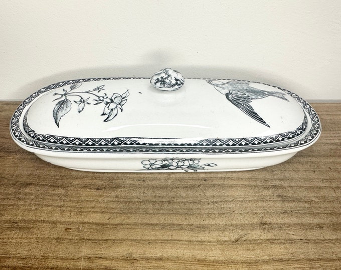 Rare Antique Hill Pottery argos Ironstone Toothbrush or Razor Dish