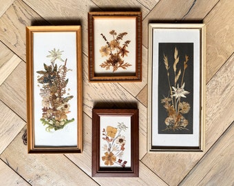 Set of 4 Vintage Framed Pressed Eidelweiss Flowers