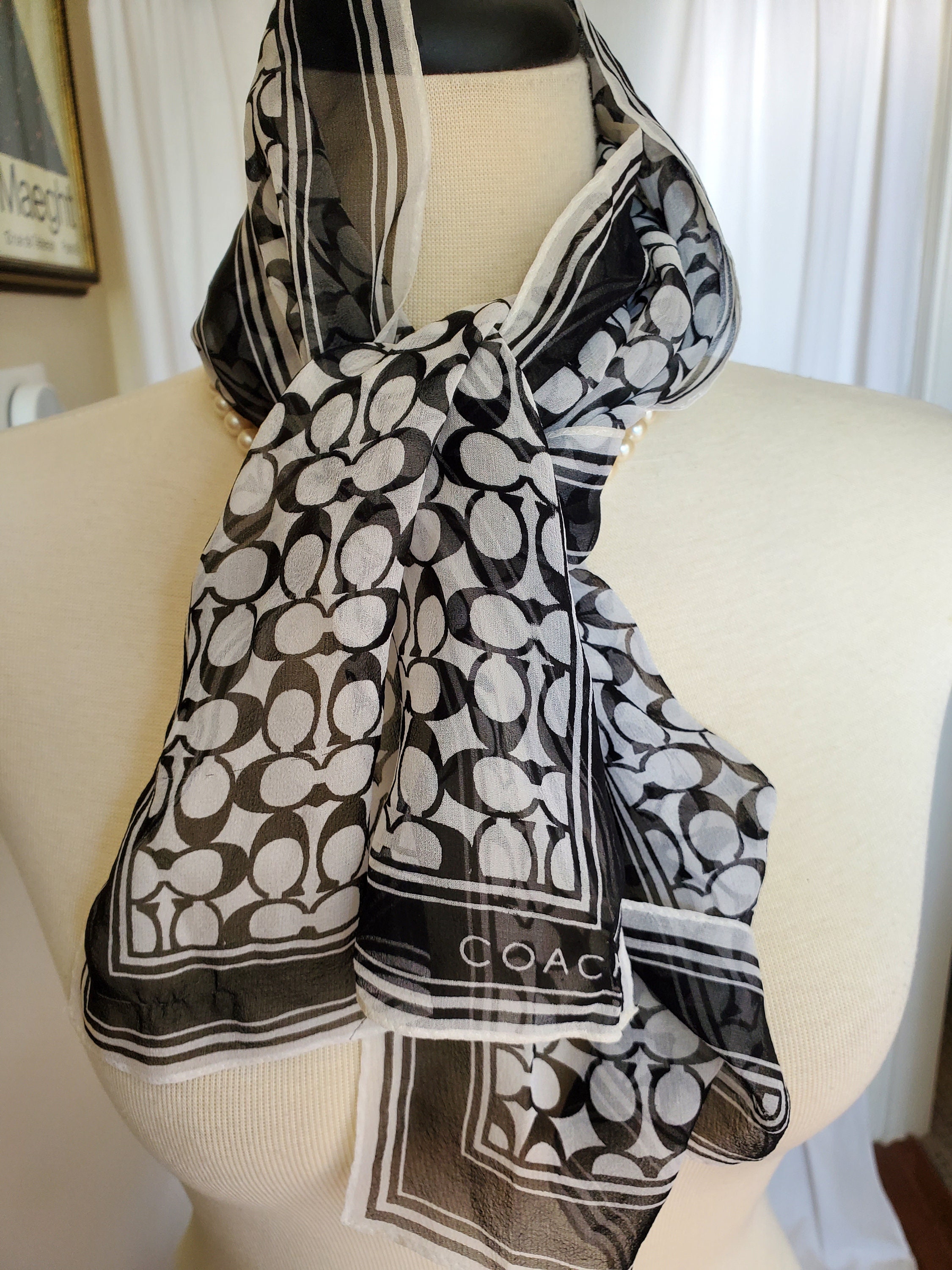 COACH Silk Crepe De Chine Long Scarf / 10