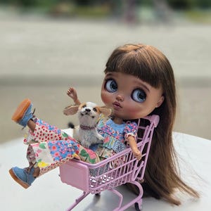 Pode incluir: Uma boneca com grandes olhos azuis e cabelo comprido castanho está sentada num carrinho de compras rosa em miniatura, com um pequeno cão de pelúcia. A boneca usa um vestido floral e sapatos azuis. O carrinho está numa superfície branca.