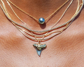 Black Gold Dipped Shark Tooth Necklace, black gold shark tooth, gold dipped shark tooth necklace, gold fossil shark tooth, Hawaii Necklace