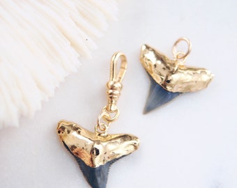 Fossilized Gold Plated Shark Tooth Charm, Add a Gold Charm for Necklace, Add a Bracelet Charm