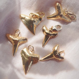 Gold Plated Shark Tooth Charm
