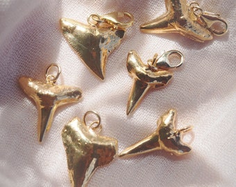 Gold Plated Shark Tooth Charm