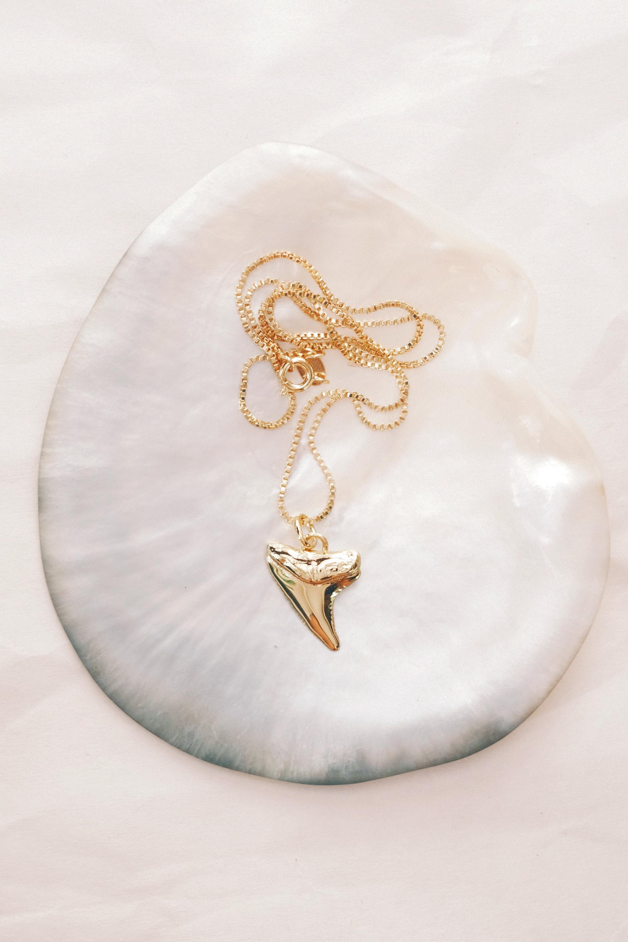 Gold Shark Tooth Necklace - Mano - Etsy Canada