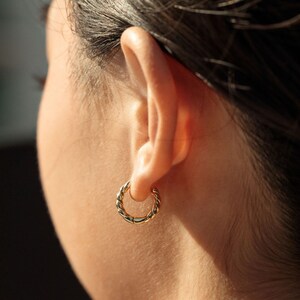 Twisted Small Hoop Earrings Olina image 3