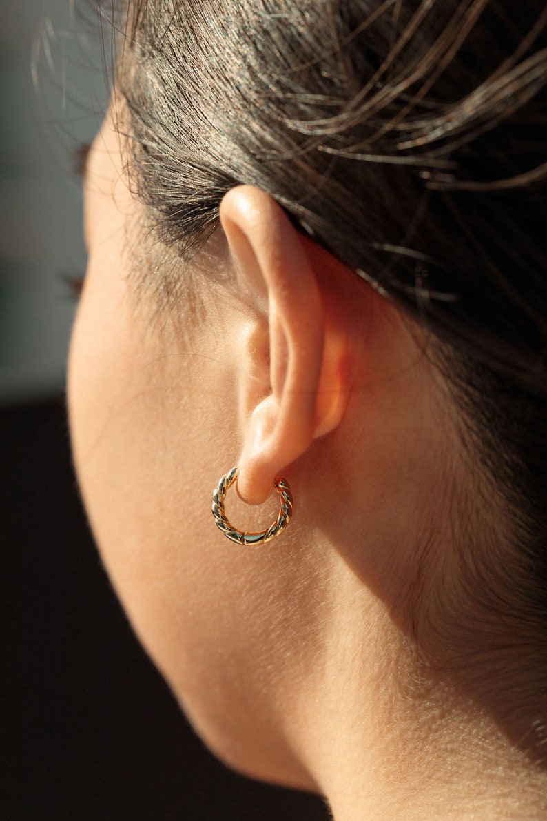 Twisted Small Hoop Earrings Olina image 3