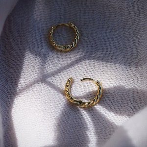 Twisted Small Hoop Earrings Olina image 7