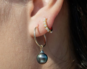 Thin Gold Filled Tahitian Pearl Hoop Earrings, Gold Hoop Earring, Pearl and Gold Hoop, Gold Filled Hoop Earring, Hawaii Hoop