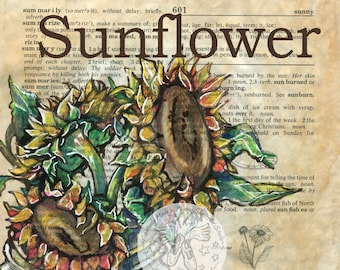 PRINT:  Sunflower Mixed Media Drawing on Antique Dictionary Page