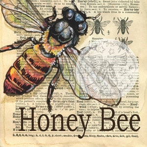 May include: A watercolor illustration of a honeybee, with detailed wings and body, superimposed on a vintage dictionary page. The word "Honey Bee" is printed at the bottom.