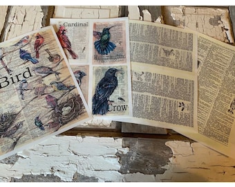 Bird Themed Collage/Decoupage Kit