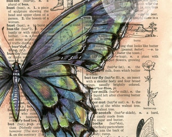 PRINT: Blue Green Butterfly Mixed Media Drawing on Distressed