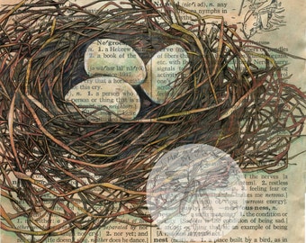 PRINT:  Nest Mixed Media Drawing on Distressed, Dictionary Page