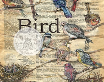 PRINT:  Birds Mixed Media Drawing on Antique Dictionary Page