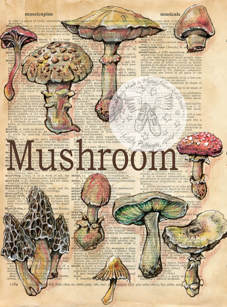 Imprimer Champignon Mixed Media Dessin Sur Antique Etsy France