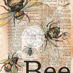 May include: An artistic print featuring detailed illustrations of bees and a beehive, set against a vintage dictionary page background. The word "Bee" is prominently displayed in bold, black letters.