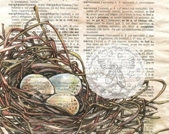 PRINT:  nid d'oiseaux (French Nest) Mixed Media Drawing on French/English Dictionary