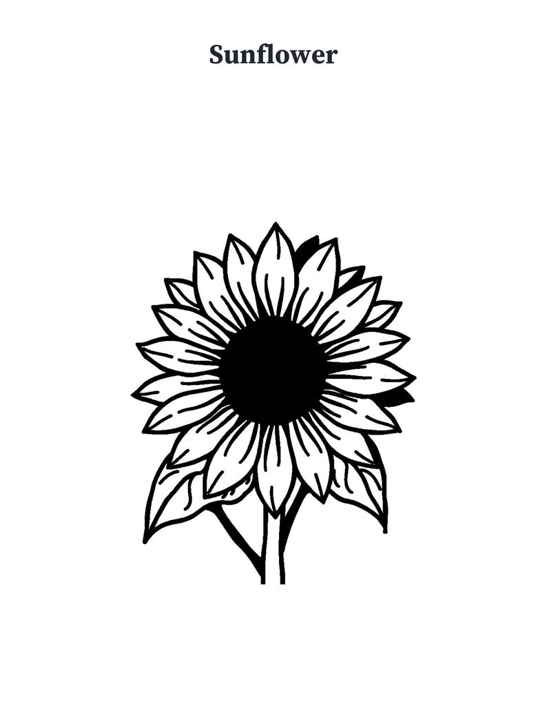 May include: A black and white line art illustration of a sunflower with a large central disk and numerous petals. The word Sunflower is printed in a bold, black serif font above the flower, which features two leaves at the base of the stem.