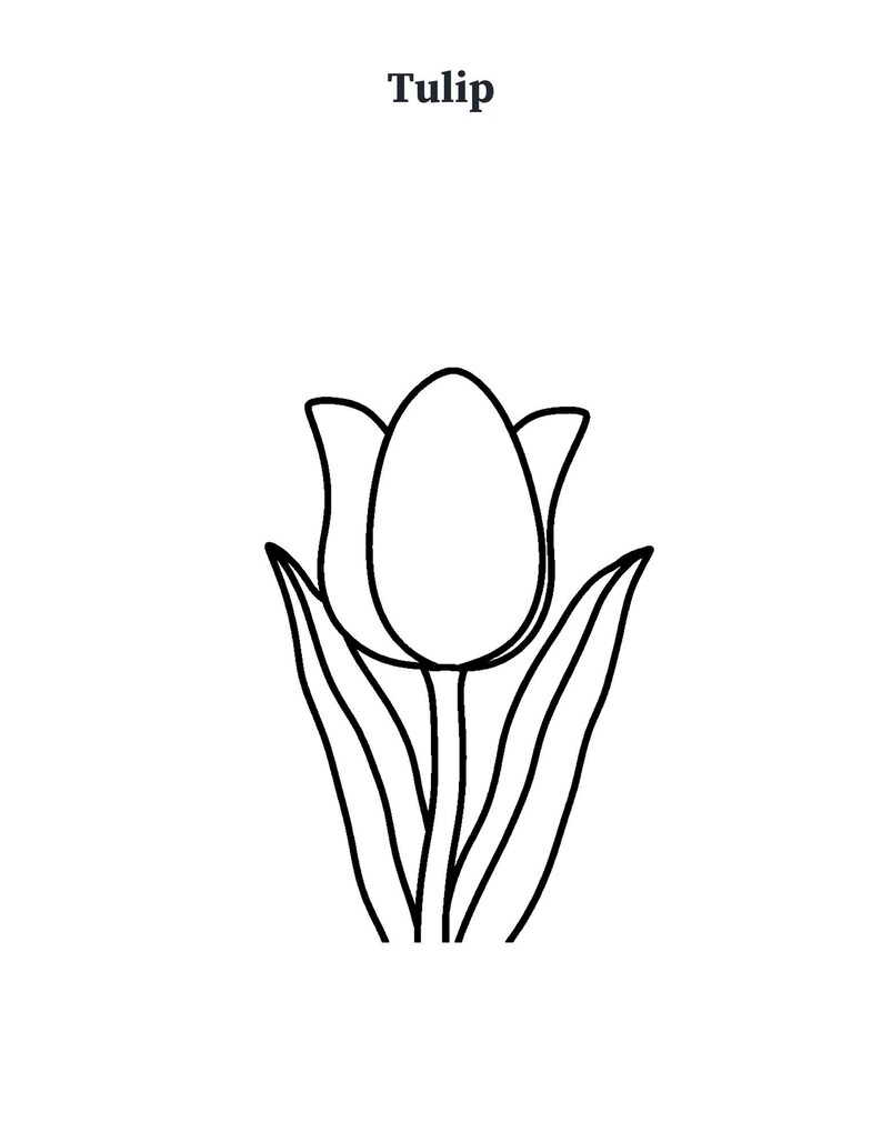 May include: A black and white line drawing of a tulip flower with a central stem and two leaves. The word Tulip is printed in a bold black serif font above the flower illustration. The design features clean, simple outlines on a white background.