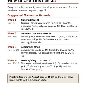 5 Months of Large Print Activity Packets for Seniors, November to March Bundle, Activity Director Puzzles image 3