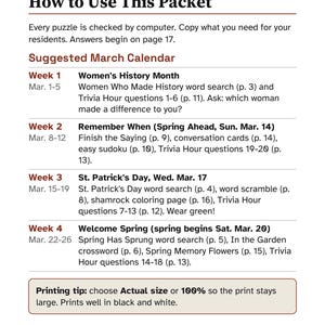 5 Months of Large Print Activity Packets for Seniors, November to March Bundle, Activity Director Puzzles image 7