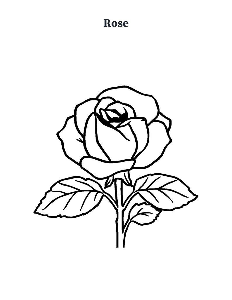 May include: A black and white line drawing of a single rose flower with a stem and two leaves. The word Rose is printed in black text above the flower. The design features bold outlines on a plain white background for coloring purposes.
