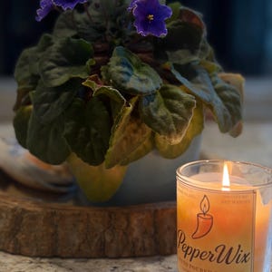 Puede incluir: Una vela encendida PepperWix en un frasco de vidrio transparente con una etiqueta que muestra un icono de chile y el texto PepperWix Hand Poured Candles Coconut-Apricot Wax Blend 4oz (113,4g) net weight, junto a una planta de violeta africana.