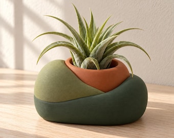 Soporte para plantas de aire Forest Trail, maceta para suculentas impresa en 3D, decoración minimalista para escritorio en el hogar u oficina.