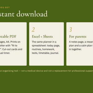 Planner voor tieners met ADHD of autisme, visuele dagelijkse routine, huiswerkplanning (PDF + Excel) afbeelding 5