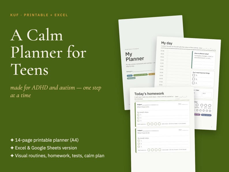 Planner voor tieners met ADHD of autisme, visuele dagelijkse routine, huiswerkplanning (PDF + Excel) afbeelding 1