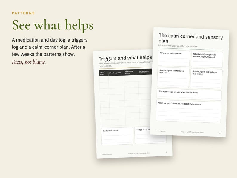 ADHD Autism Parent Organizer, School Meeting Notes, Medication Log (PDF + Excel) image 5